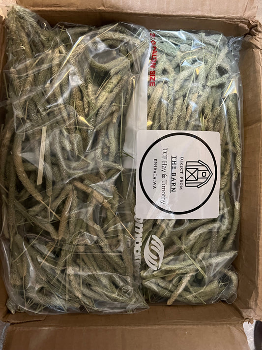 Vacuum-sealed bags of Timothy hay heads in a cardboard box labeled The Barn TCF Hay & Timothy
