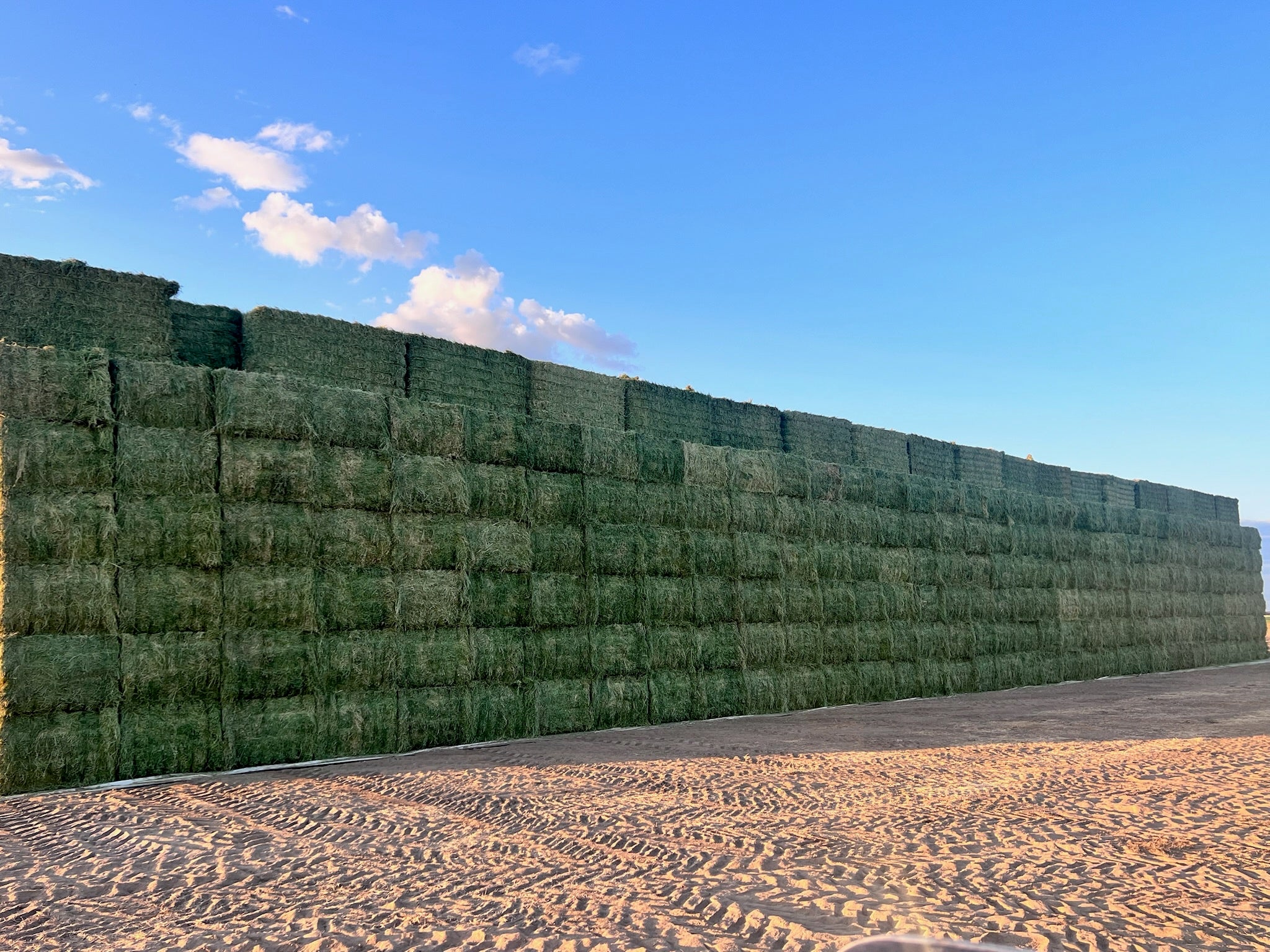Stacks of green 3x4 Timothy hay bales against a blue sky