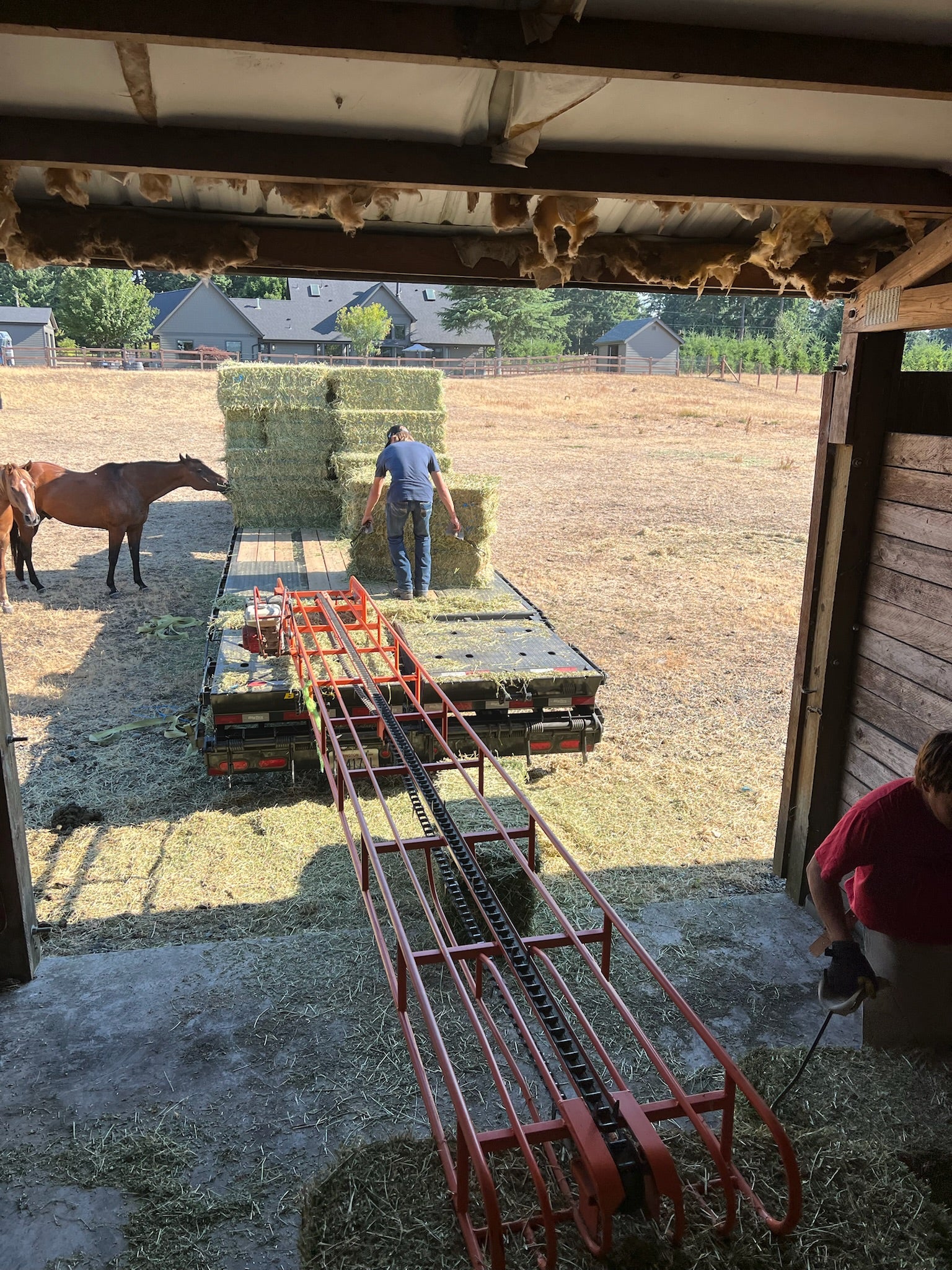Hand unloading Timothy small bales with hay hooks and elevator